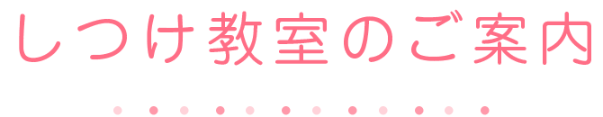 しつけ教室のご案内